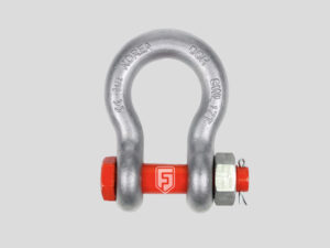 Bow Shackle With Safety Bolt